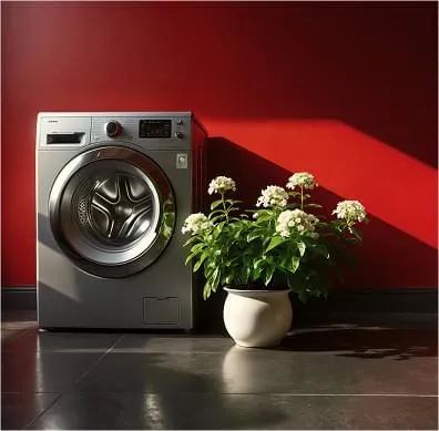 Appliance Repairs